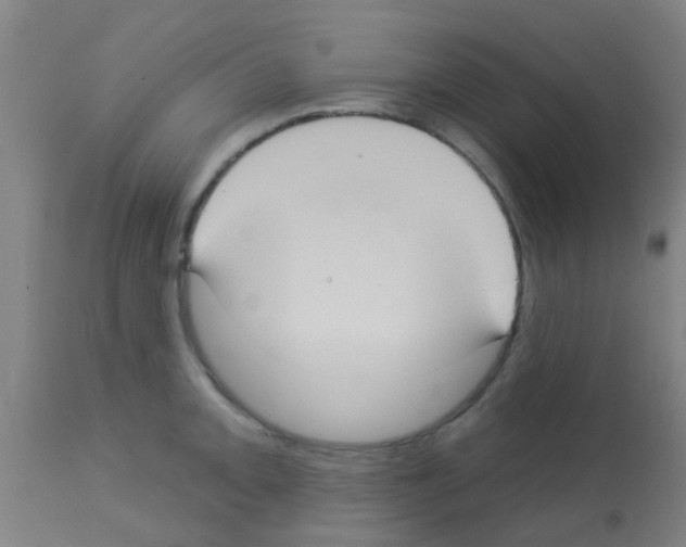 X0000113181093200910161326
