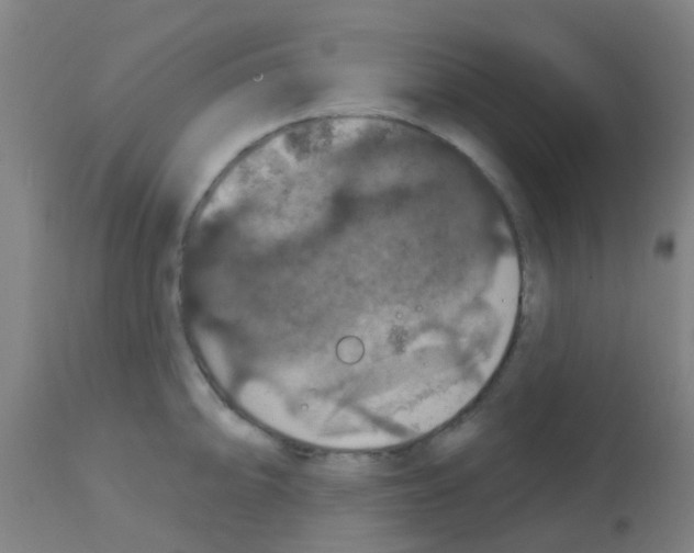 X0000113181094200910161326