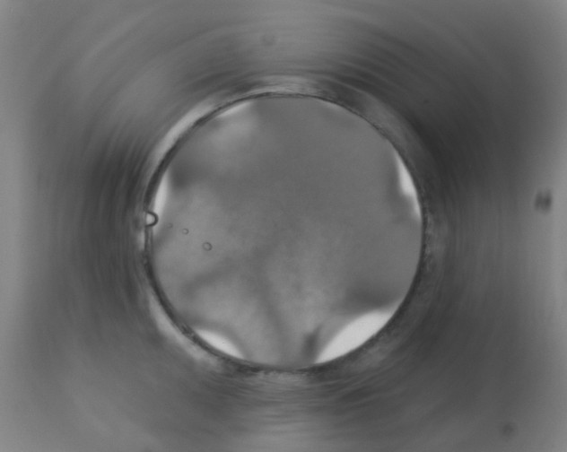 X0000113181095200910161326