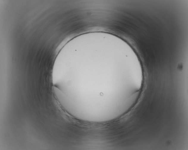 X0000113181097200910161326