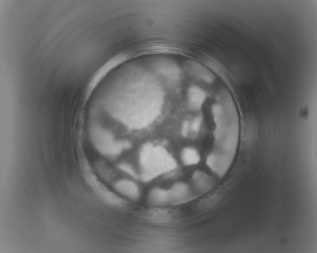 X0000113181098200910161326