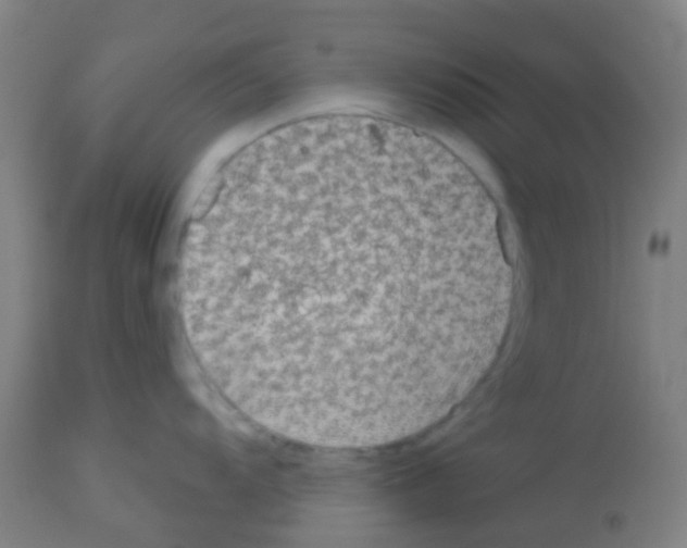 X0000113181104200910161325