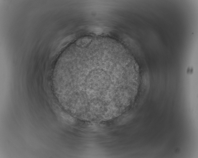 X0000113181105200910161324
