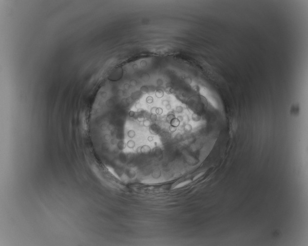 X0000113181106200910161324