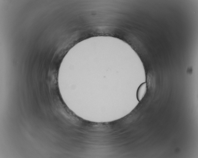 X0000113181107200910161324