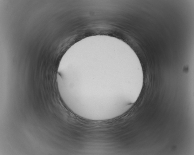 X0000113181108200910161324