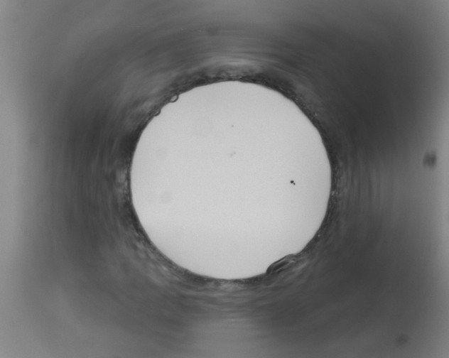 X0000113181109200910161324