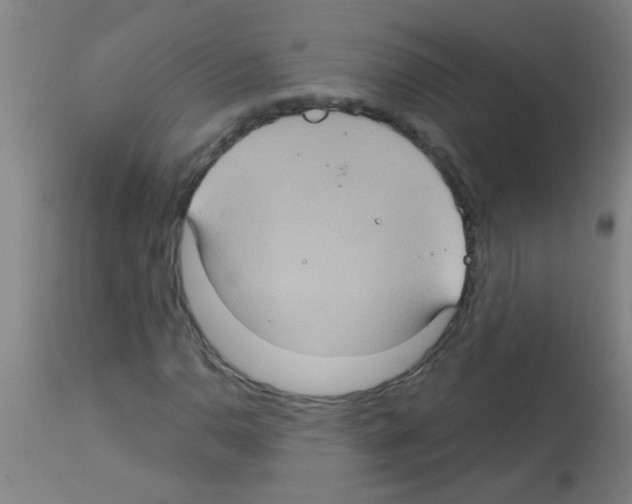 X0000113181110200910161324
