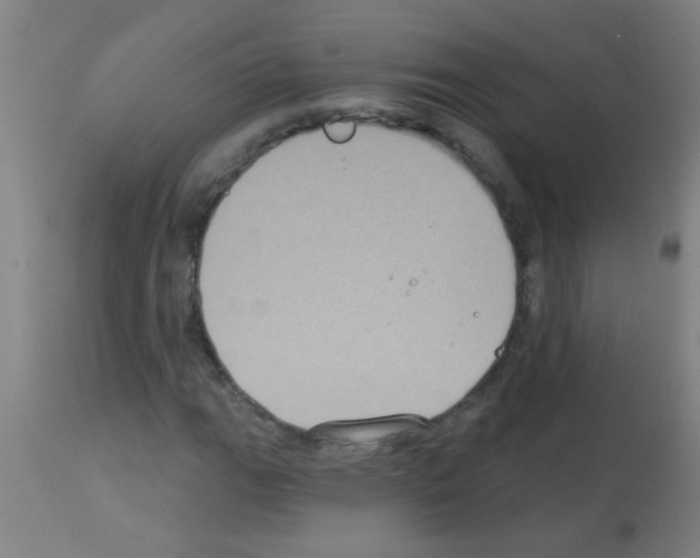 X0000113181111200910161325