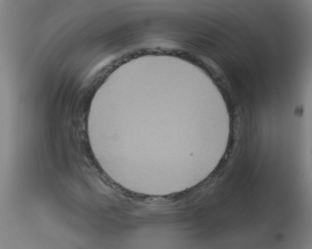 X0000113181112200910161325