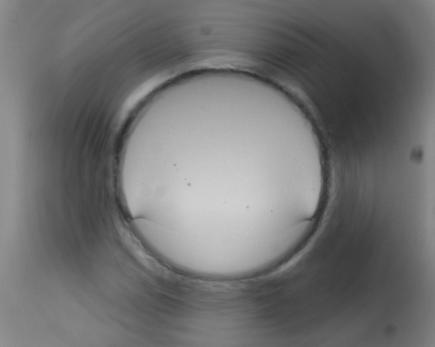 X0000113181114200910161325
