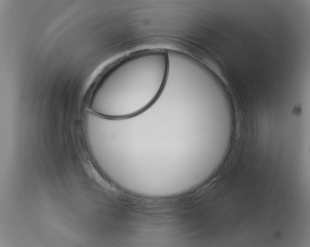 X0000113181116200910161325