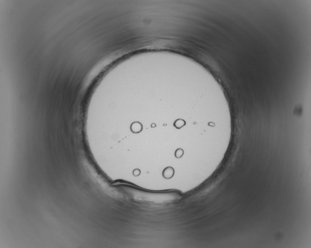 X0000113181122200910161325