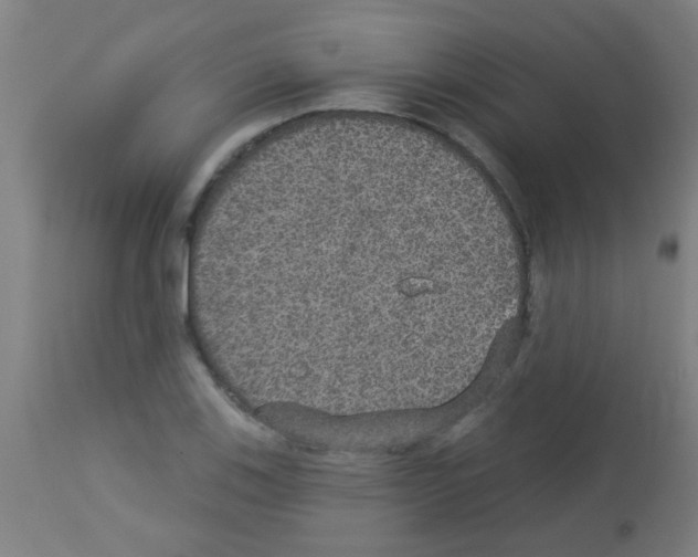 X0000113181123200910161325