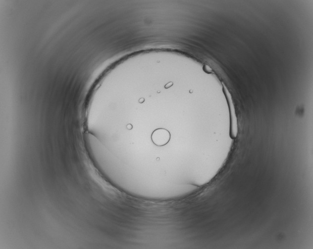 X0000113181124200910161325