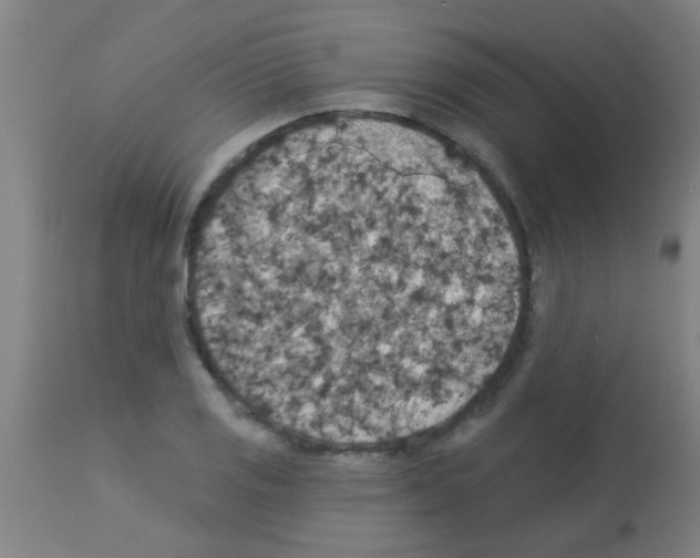 X0000113181125200910161325