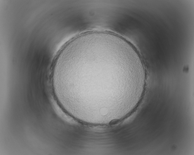 X0000113181126200910161325