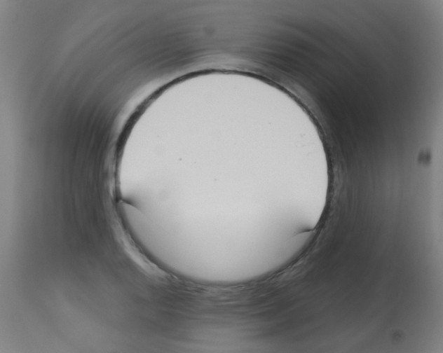 X0000113181128200910161325