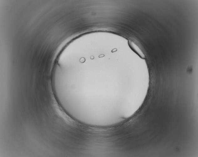 X0000113181132200910161325