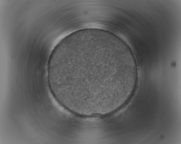 X0000113181133200910161325