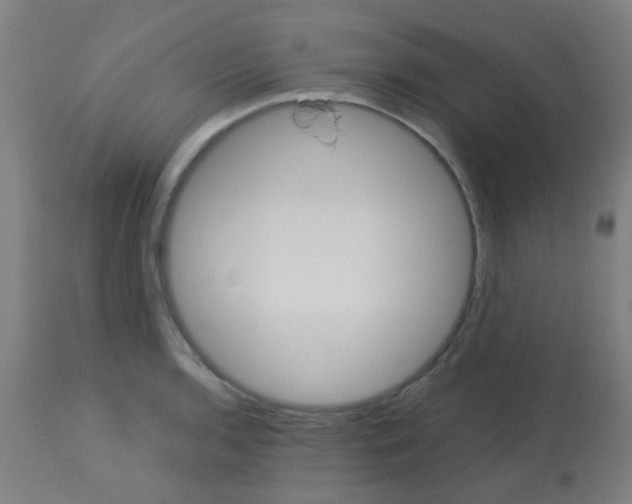 X0000113181136200910161325