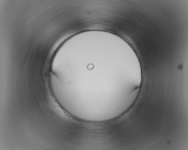 X0000113181138200910161325
