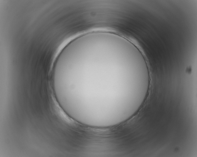 X0000113181140200910161325