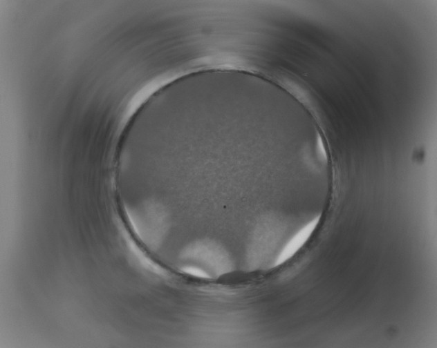 X0000113181141200910161325