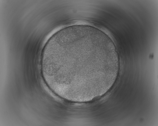 X0000113181142200910161325
