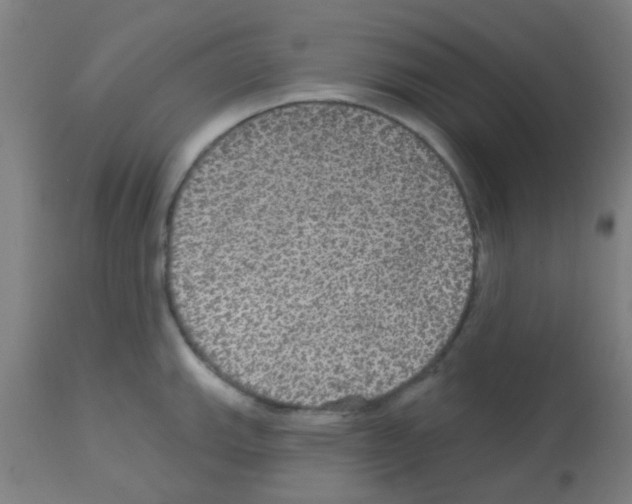 X0000113181143200910161325