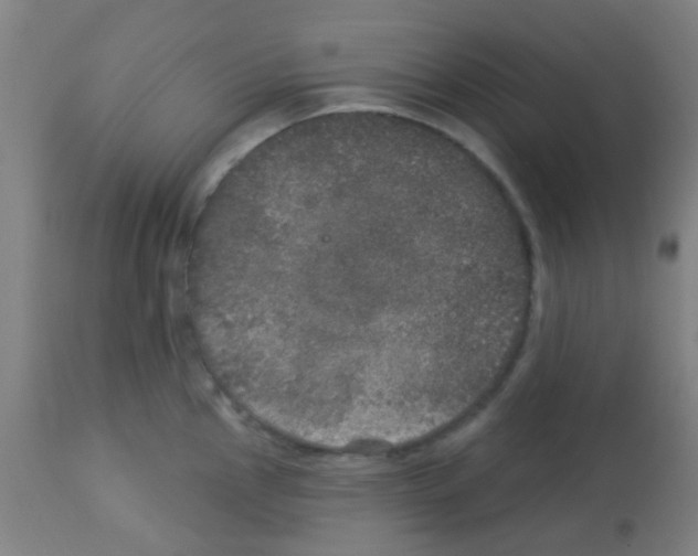 X0000113181145200910161325