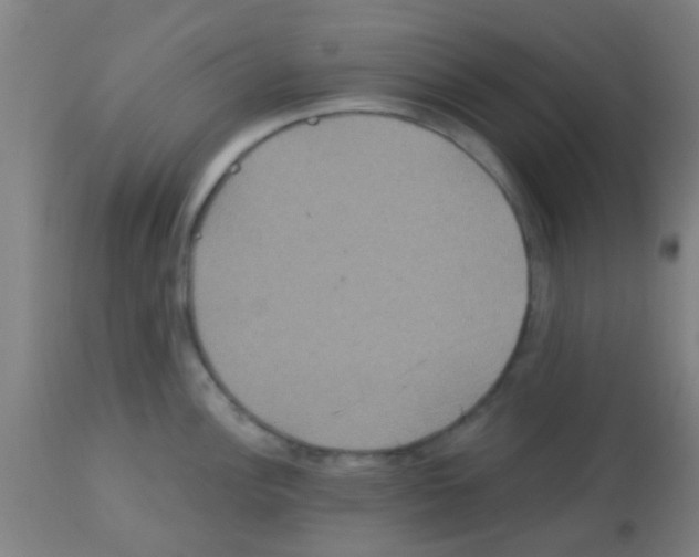 X0000113181148200910161325