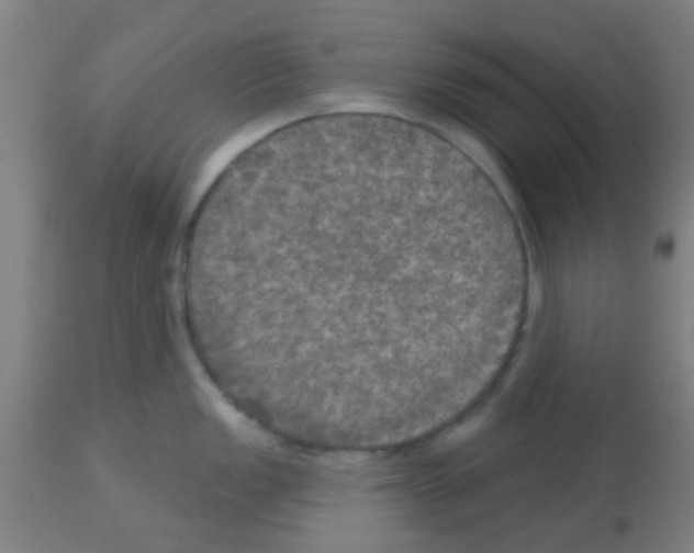 X0000113181149200910161325