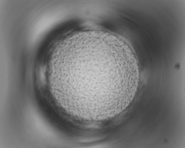 X0000113181150200910161325