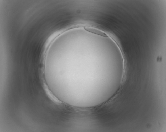 X0000113181152200910161325