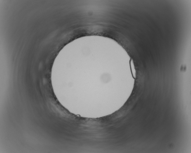 X0000113181153200910161324