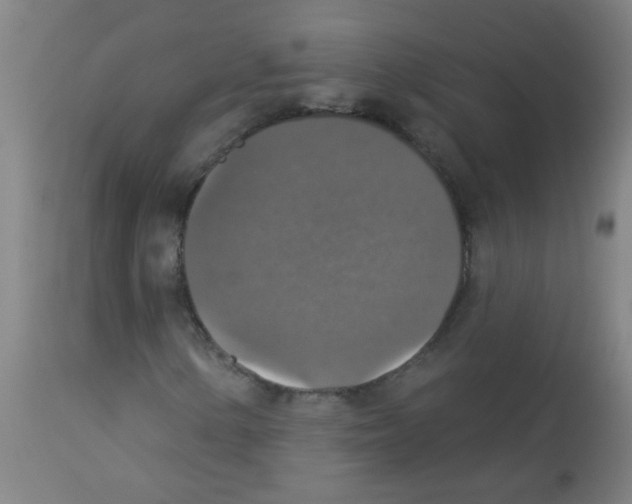 X0000113181154200910161324