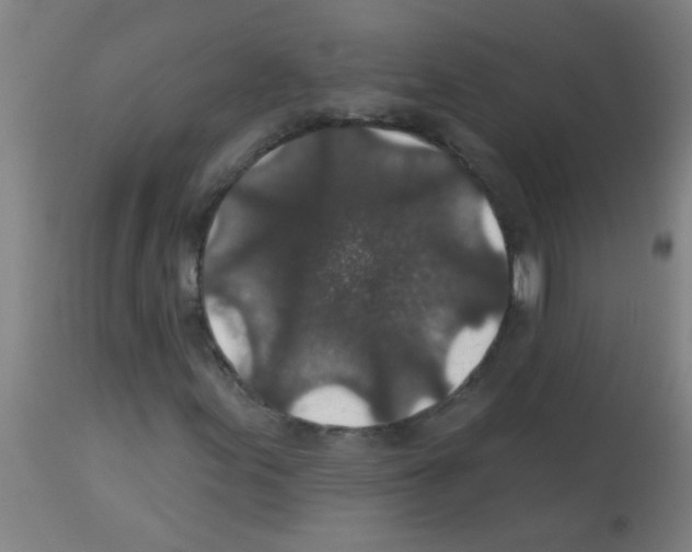 X0000113181155200910161324
