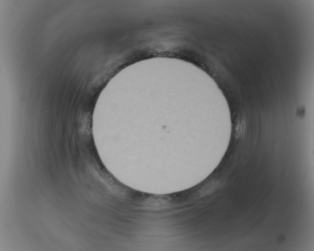 X0000113181156200910161324