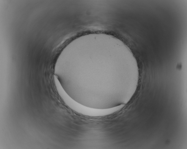 X0000113181157200910161324
