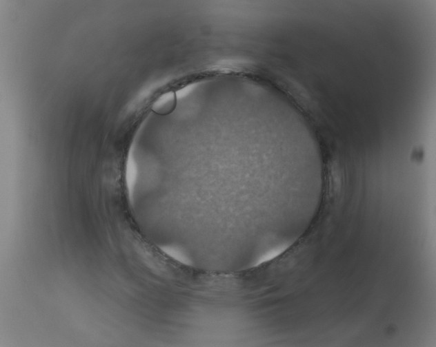 X0000113181158200910161324