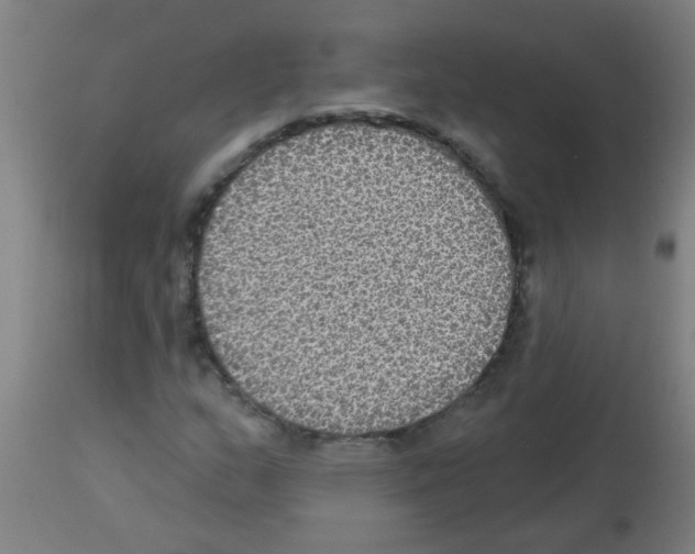 X0000113181159200910161324