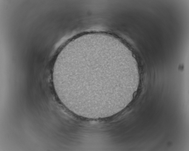 X0000113181160200910161324