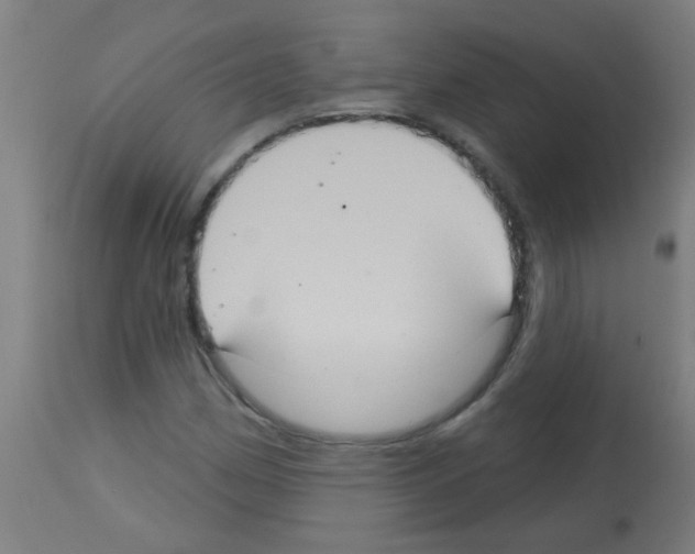 X0000113181162200910161324
