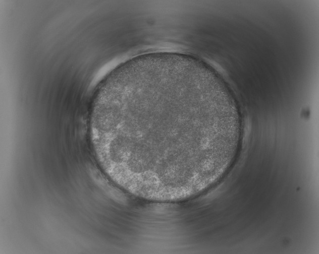 X0000113181163200910161324
