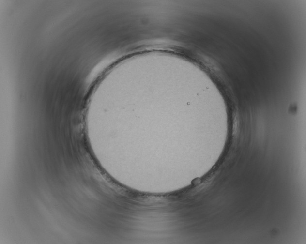X0000113181164200910161324