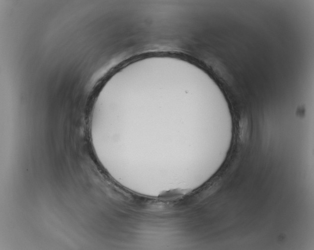 X0000113181165200910161324