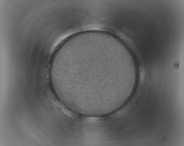 X0000113181166200910161324