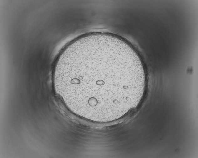 X0000113181167200910161324