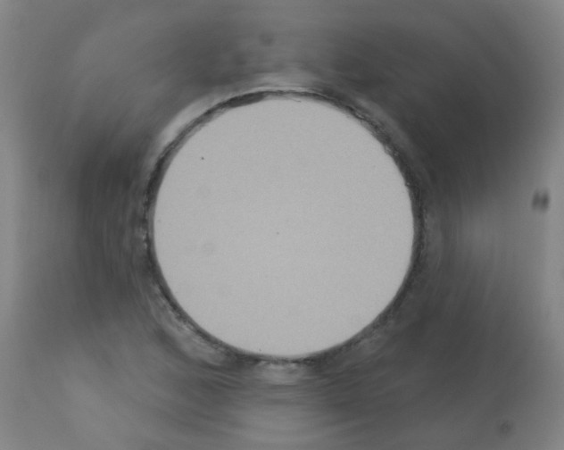 X0000113181168200910161324